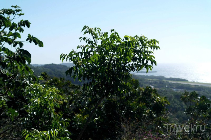 Роатан, Гондурас - очень классный остров / Гондурас