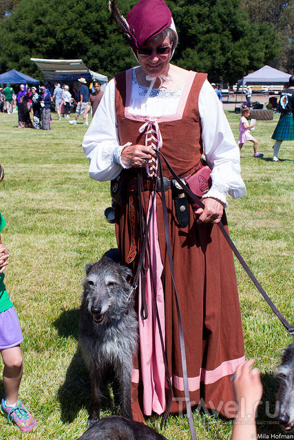 Tartan Day Scottish Fair