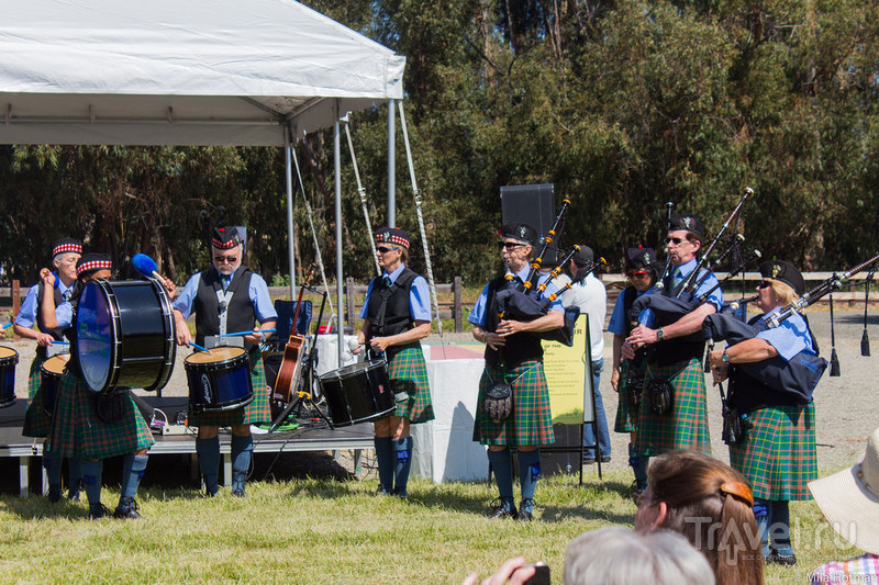 Tartan Day Scottish Fair