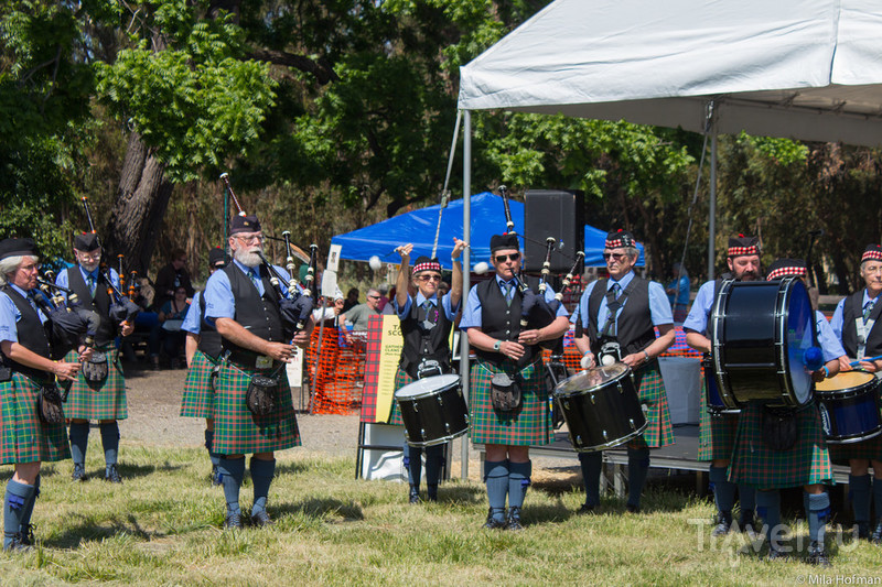 Tartan Day Scottish Fair