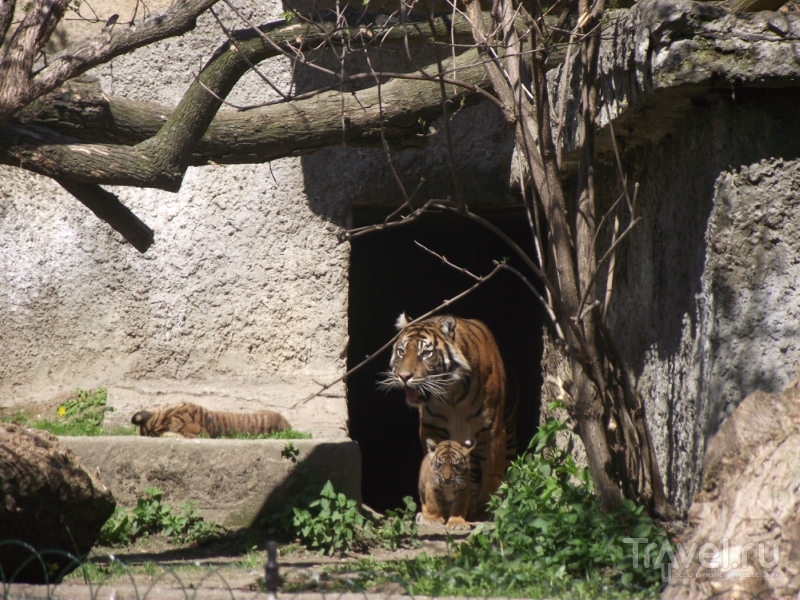 Варшава: зоопарк