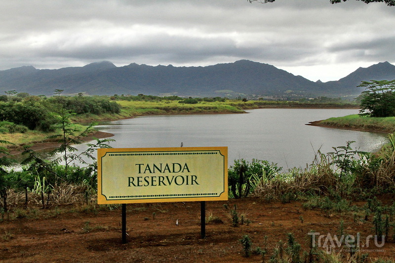 Ананасовая плантация Dole Pineapple Plantation на острове Оаху, Гавайи / США