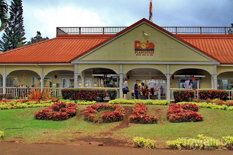 Ананасовая плантация Dole Pineapple Plantation на острове Оаху, Гавайи / США