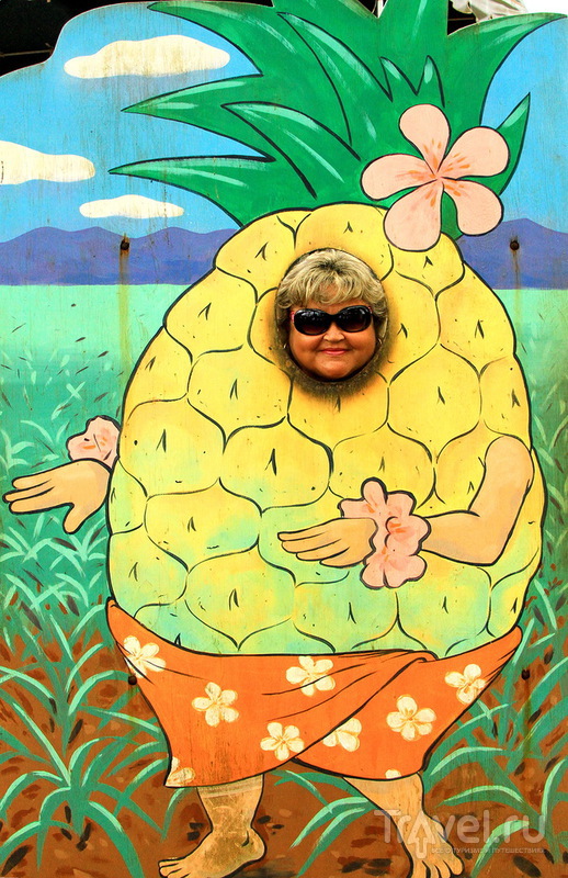 Ананасовая плантация Dole Pineapple Plantation на острове Оаху, Гавайи / США