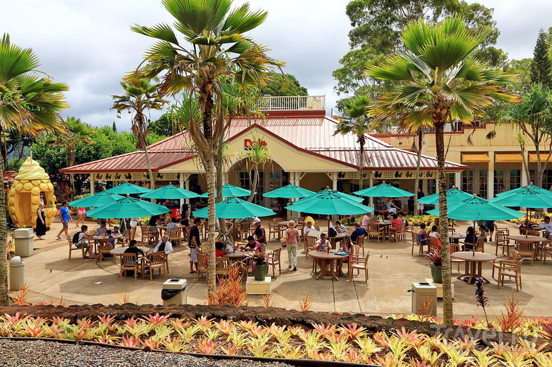 Ананасовая плантация Dole Pineapple Plantation на острове Оаху, Гавайи / США