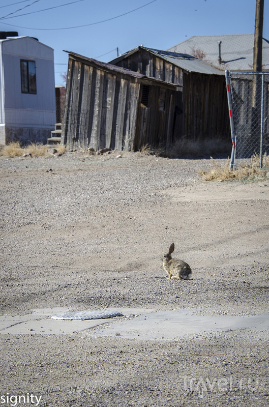 Городок золотодобытчиков Goldfield. США. Невада