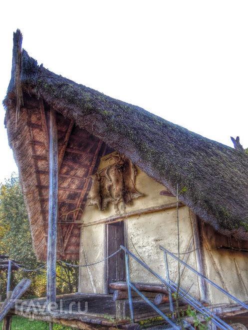 Музей на озере Федерзее (Federsee Museum) / Германия