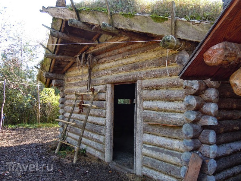 Музей на озере Федерзее (Federsee Museum) / Германия