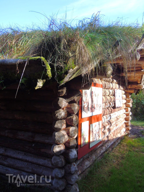 Музей на озере Федерзее (Federsee Museum) / Германия