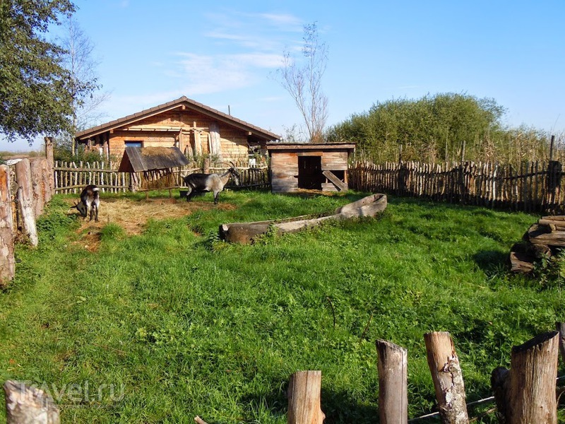 Музей на озере Федерзее (Federsee Museum) / Германия