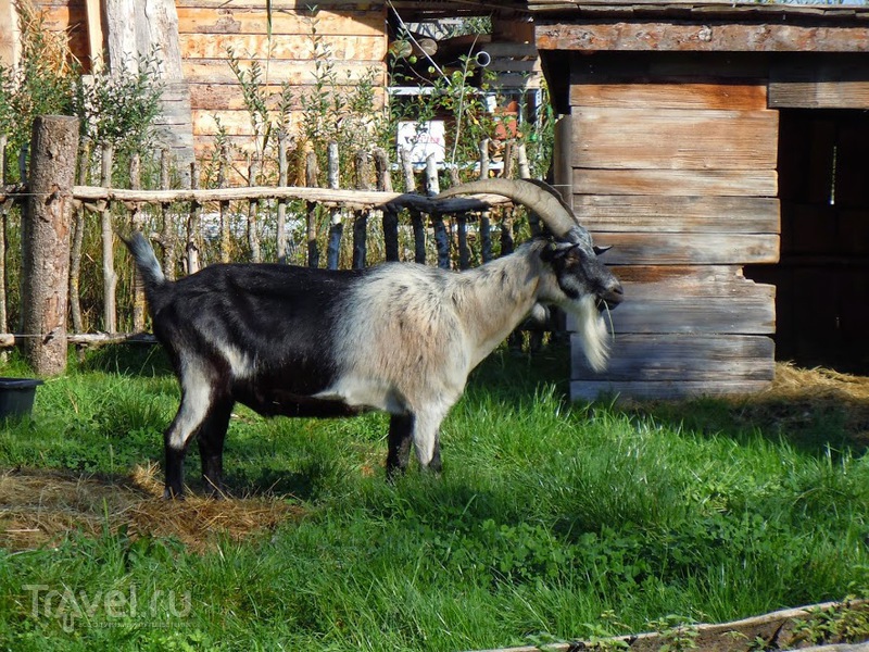 Музей на озере Федерзее (Federsee Museum) / Германия