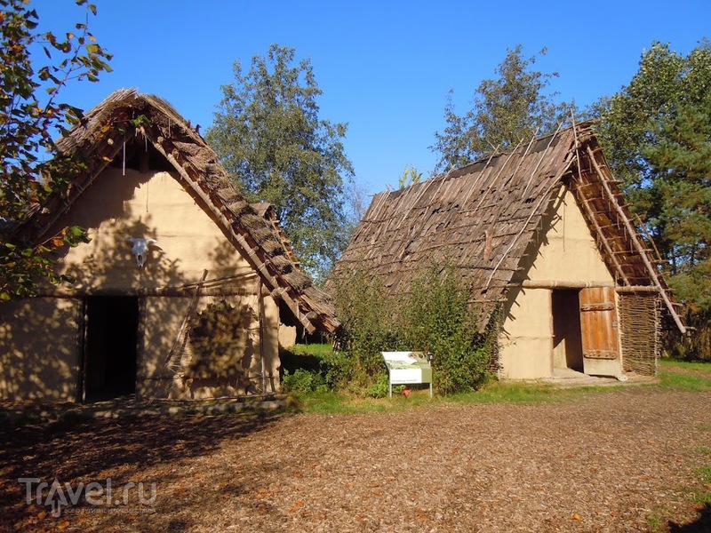 Музей на озере Федерзее (Federsee Museum) / Германия