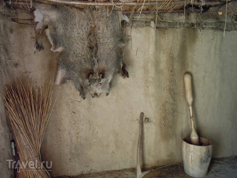 Музей на озере Федерзее (Federsee Museum) / Германия