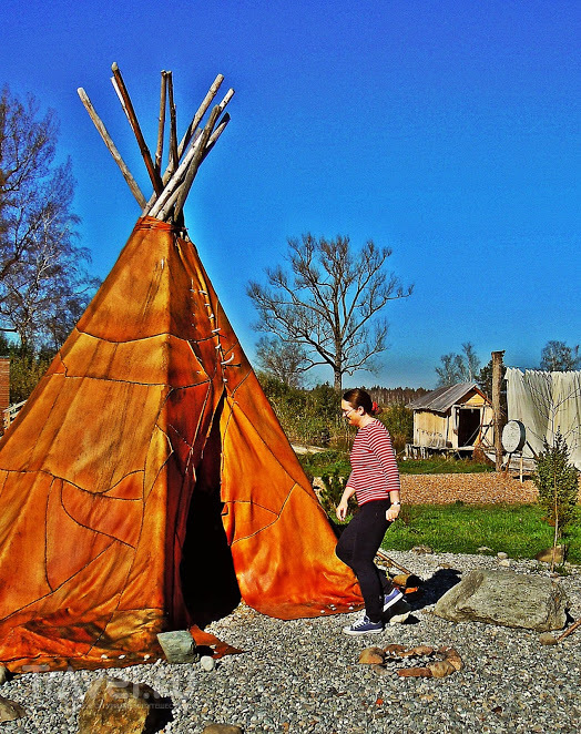 Музей на озере Федерзее (Federsee Museum) / Германия