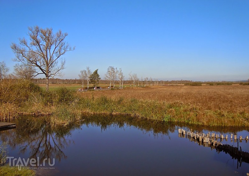 Музей на озере Федерзее (Federsee Museum) / Германия