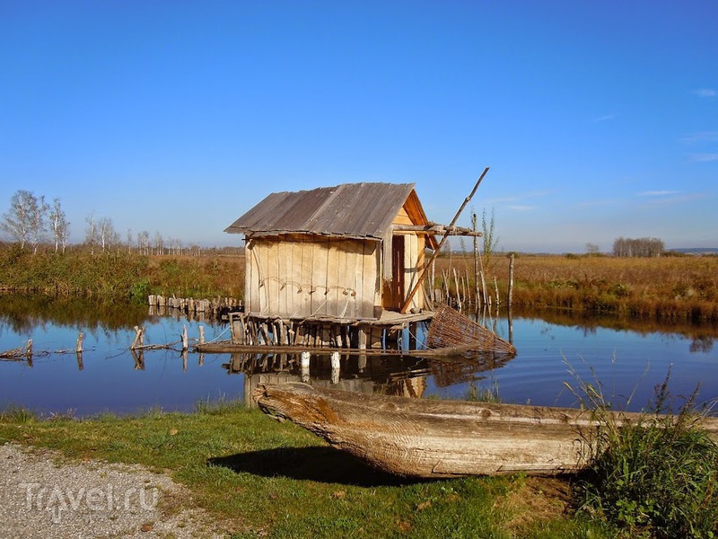 Музей на озере Федерзее (Federsee Museum) / Германия