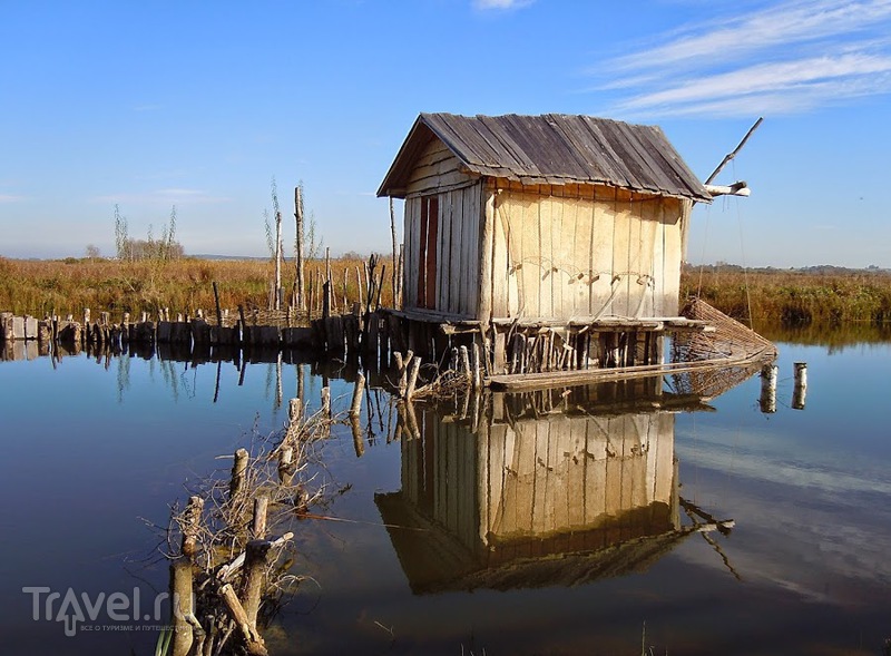 Музей на озере Федерзее (Federsee Museum) / Германия