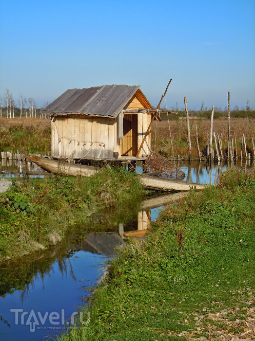 Музей на озере Федерзее (Federsee Museum) / Германия