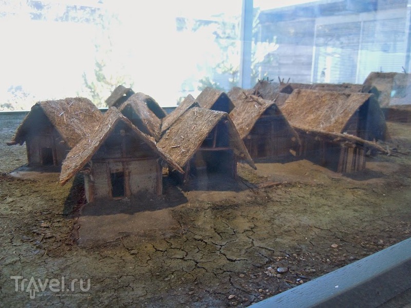 Музей на озере Федерзее (Federsee Museum) / Германия