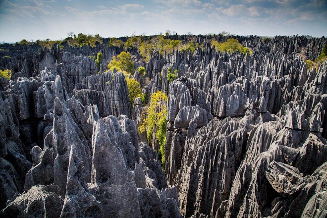 Национальные парки Мадагаскара