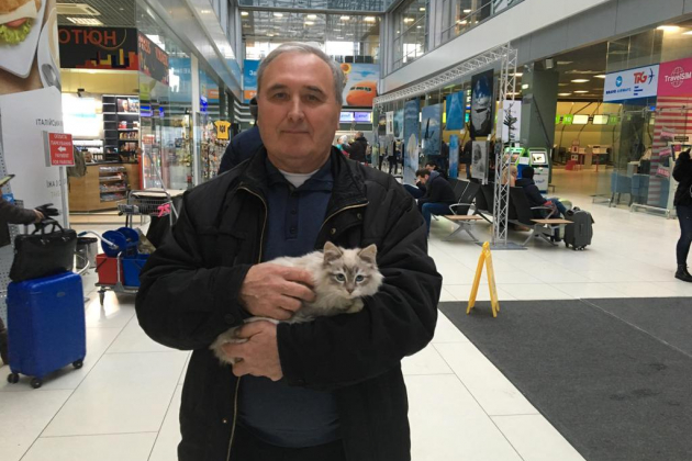 В аэропорту Киева девушка бросила котёнка