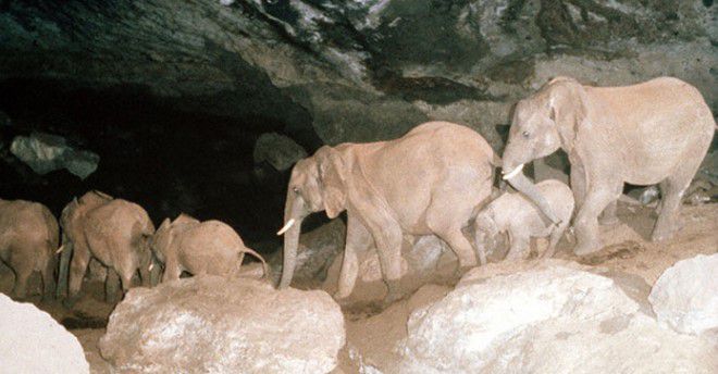 Генератор зла и смертельных вирусов: пещера Китум