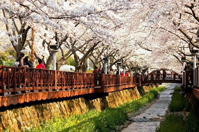Когда лучше ехать в Южную Корею отдыхать?