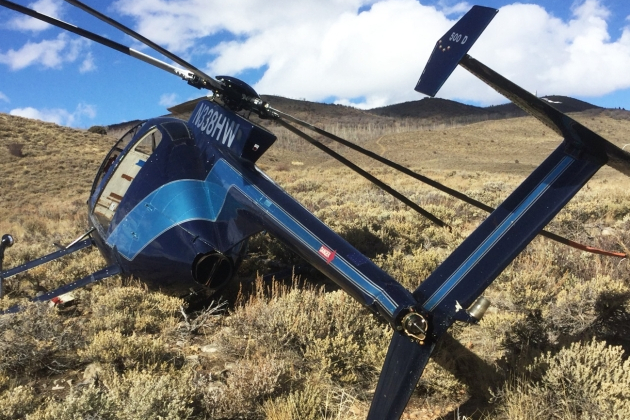 В США лось сбил небольшой вертолёт